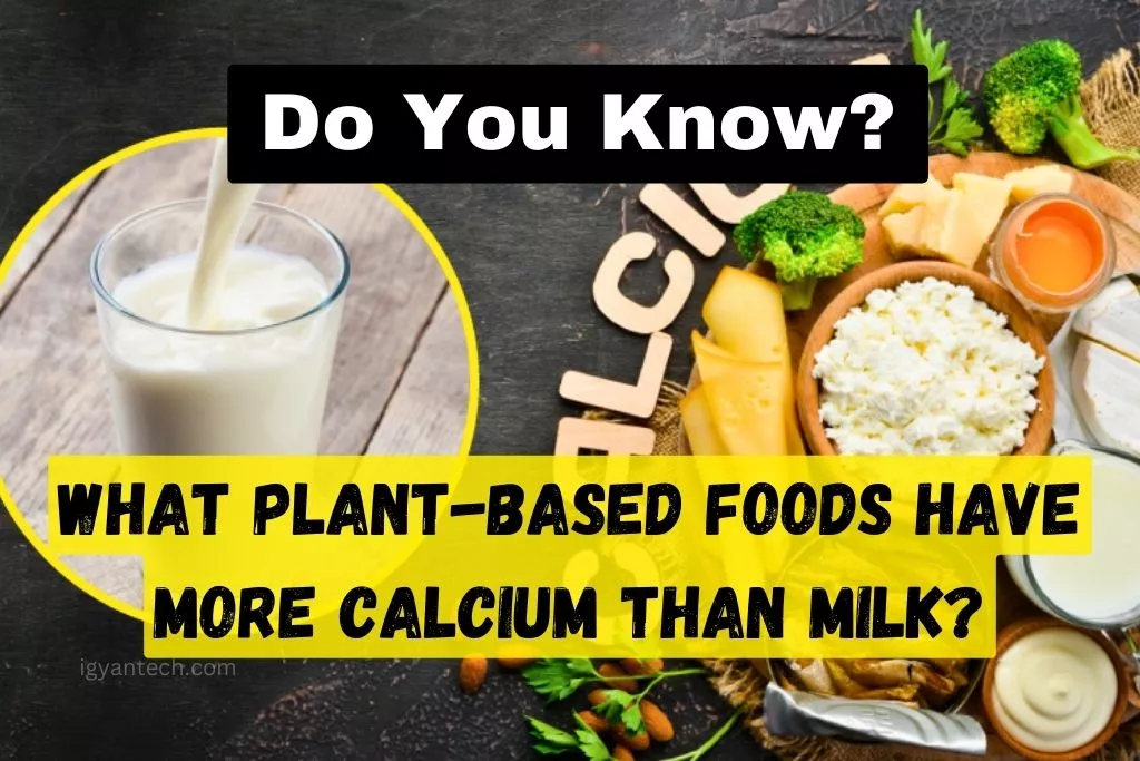 plant-based-foods-have-more-calcium-than-milk