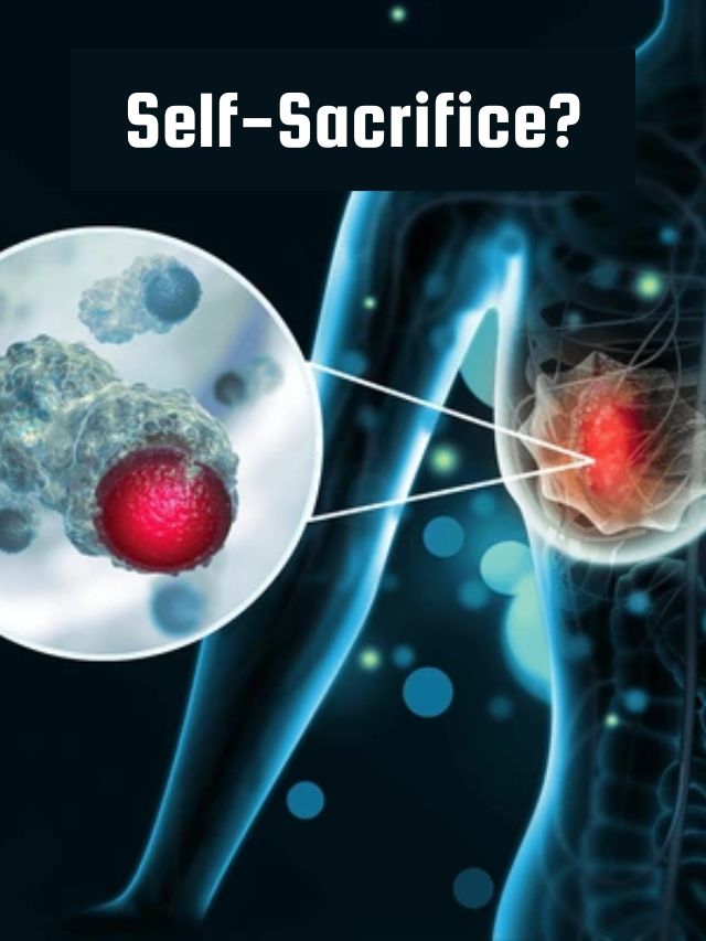 Self-Sacrificing Behavior in Breast Cancer Cells?