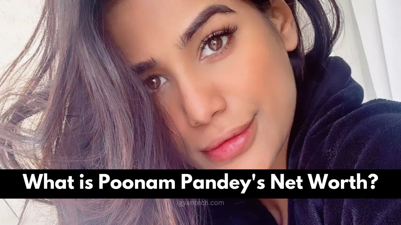 What is Poonam Pandey's Net Worth?
